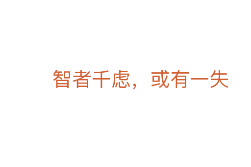 智者千慮,或有一失